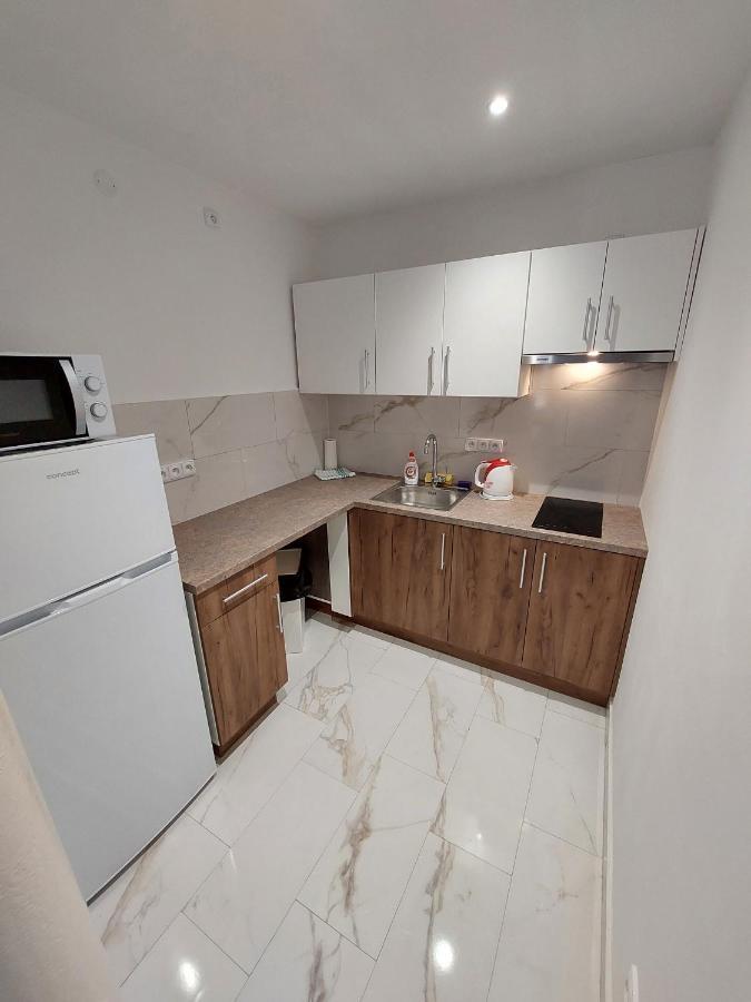Vehlovice Apartments Mělník Dış mekan fotoğraf
